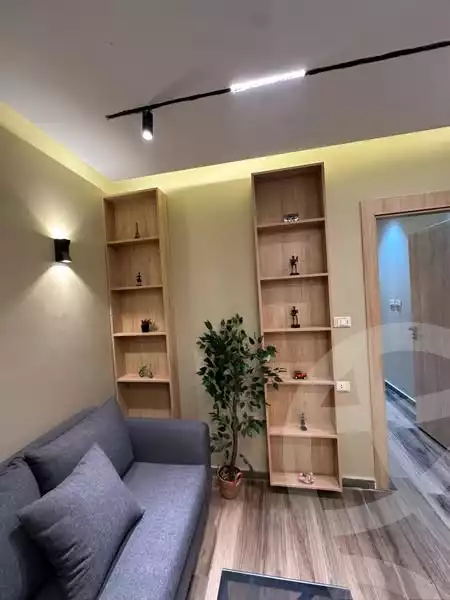 https://aqarmap.com.eg/en/listing/5654658-for-rent-cairo-dokki-msdq
