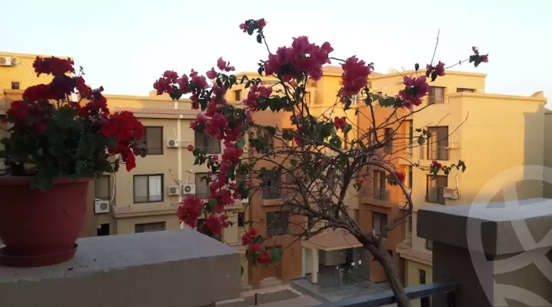 https://aqarmap.com.eg/en/listing/5658600-for-rent-cairo-el-sheikh-zayed-city-compounds-casa