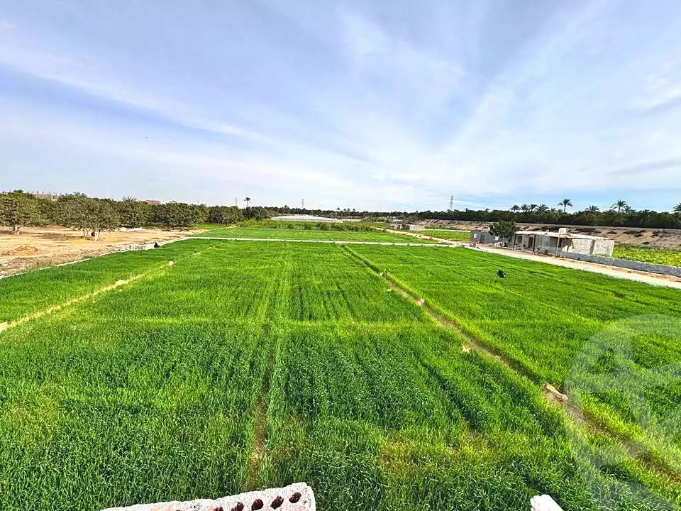 https://aqarmap.com.eg/ar/listing/5658967-for-sale-ismailia-ismailia-city