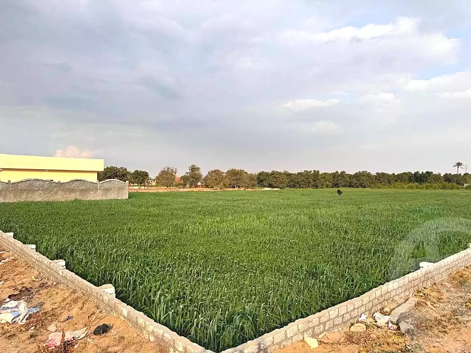 https://aqarmap.com.eg/ar/listing/5658967-for-sale-ismailia-ismailia-city