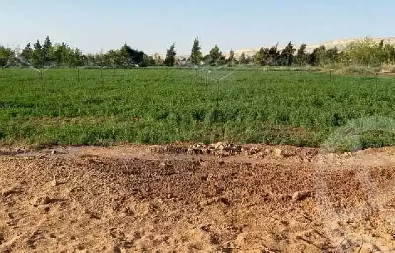 https://aqarmap.com.eg/ar/listing/5659007-for-sale-alexandria-cairo-alexandria-desert-road