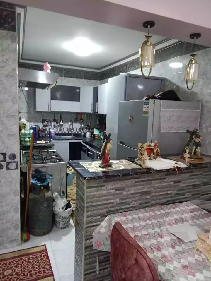 https://aqarmap.com.eg/en/listing/5659963-for-sale-cairo-ain-shams-jsr-lswys