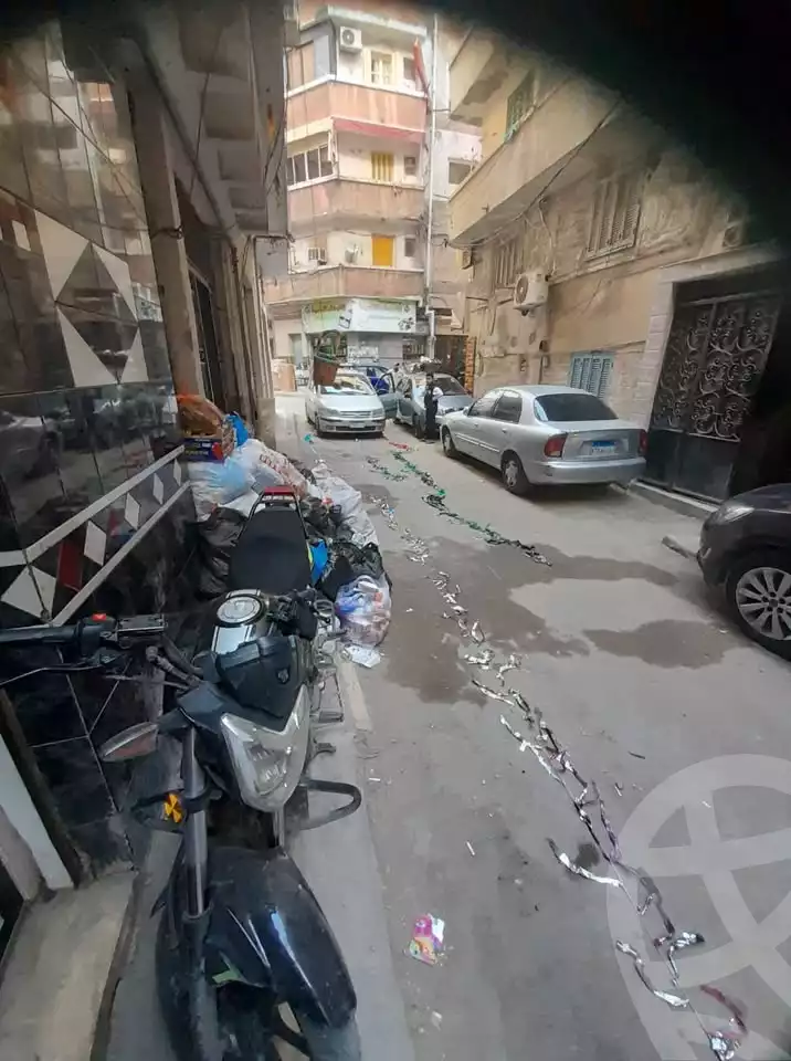 https://aqarmap.com.eg/en/listing/5662994-for-rent-alexandria-ganaklis