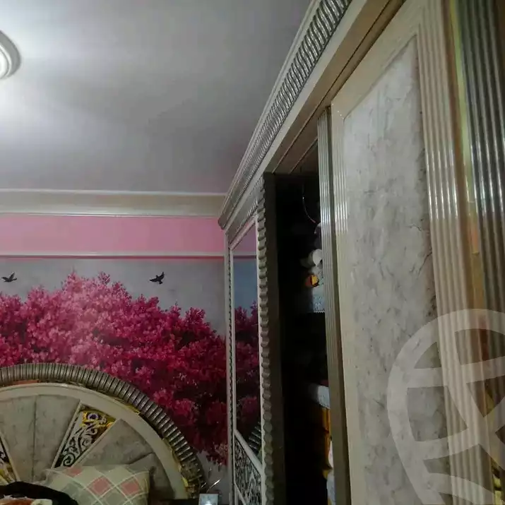 https://aqarmap.com.eg/en/listing/5663503-for-sale-alexandria-l-jmy-el-hanouvel