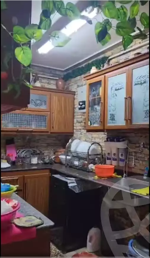 https://aqarmap.com.eg/en/listing/5672922-for-sale-cairo-ain-shams-ain-shams-el-sharkia-el-fairouz-st