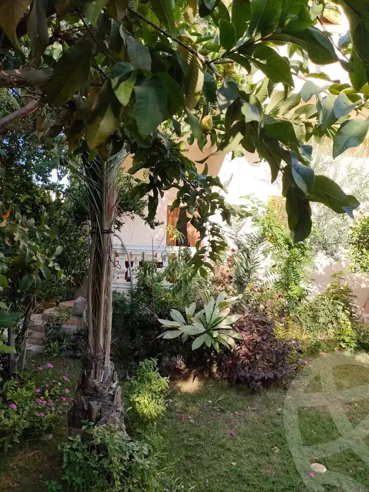 https://aqarmap.com.eg/en/listing/5676657-for-sale-alexandria-alexandria-marsa-matrouh-rd