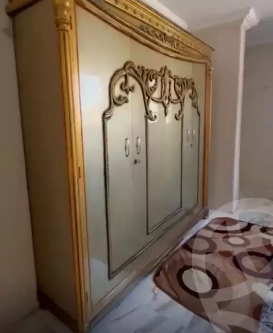 https://aqarmap.com.eg/en/listing/5678353-for-rent-dakahlia-mansoura