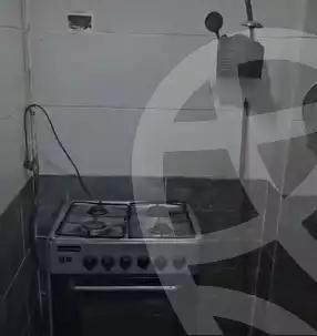 https://aqarmap.com.eg/en/listing/5680546-for-rent-cairo-el-sayyeda-zeinab