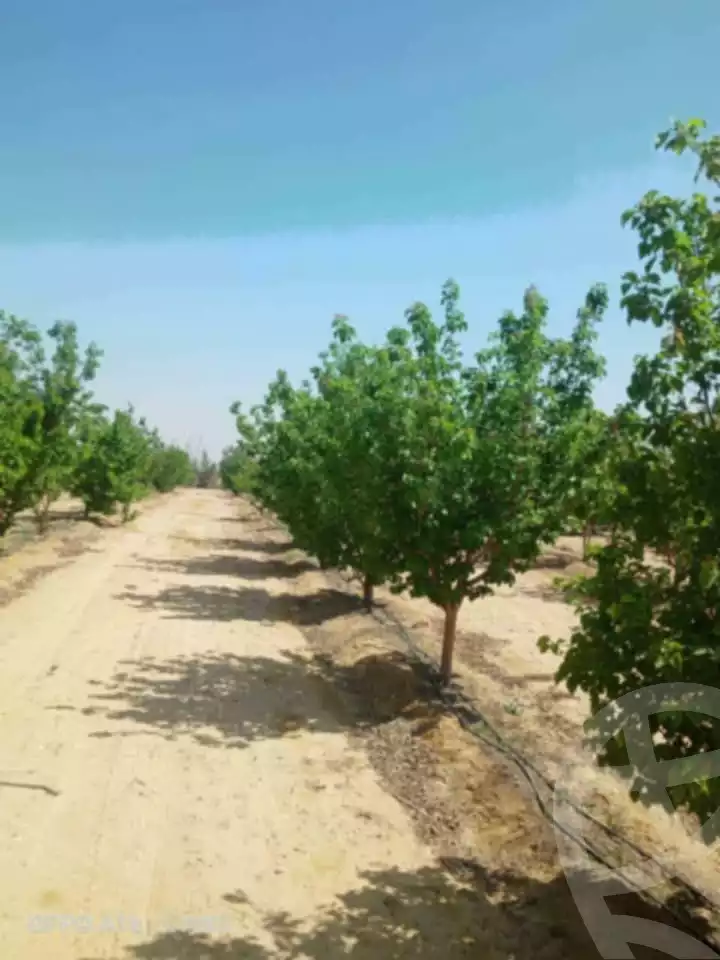 https://aqarmap.com.eg/ar/listing/5681256-for-sale-el-minia-mdyn-lmny