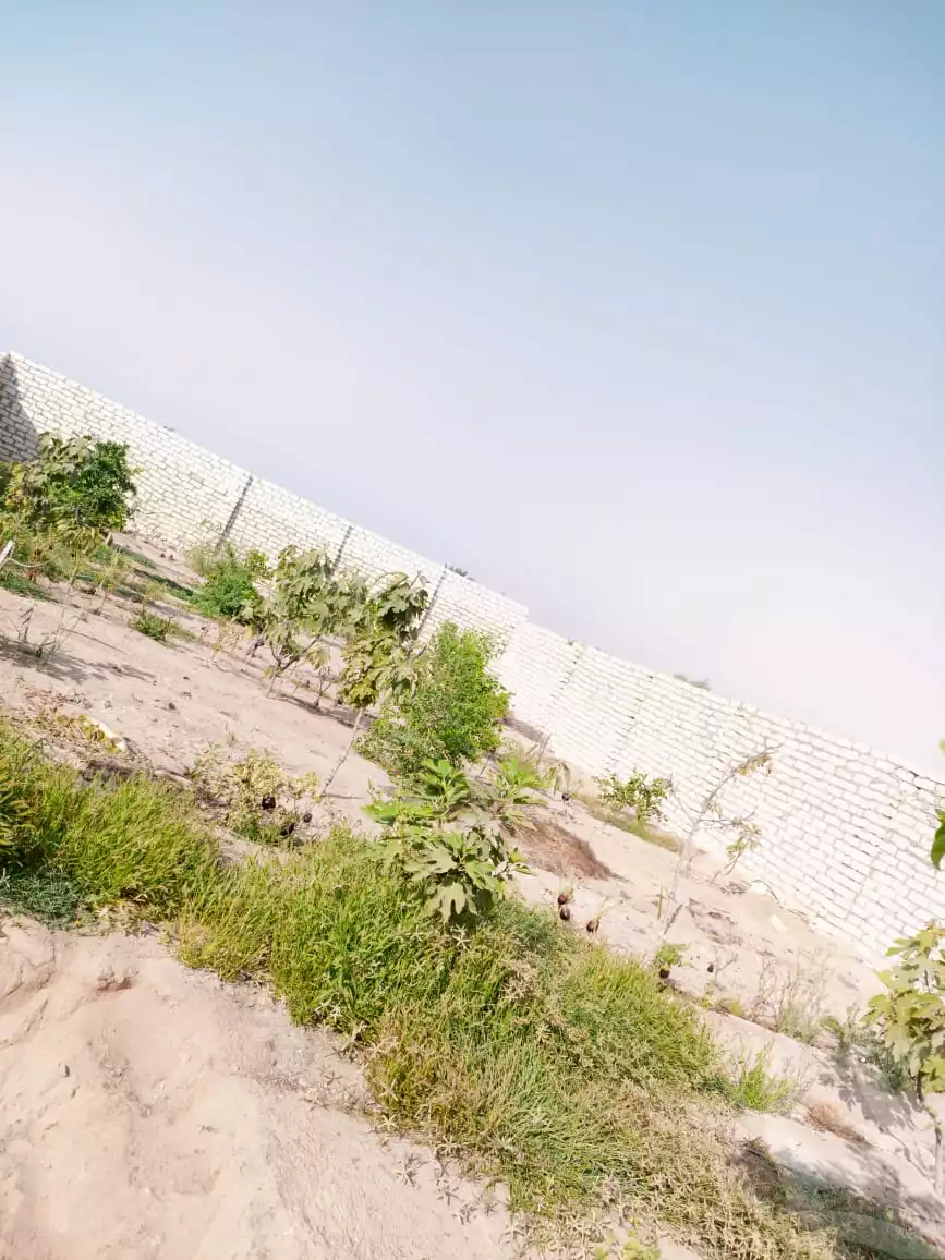 https://aqarmap.com.eg/en/listing/5687735-for-sale-ismailia-ismailia-city-al-ismaileya-road-port-saeed-st