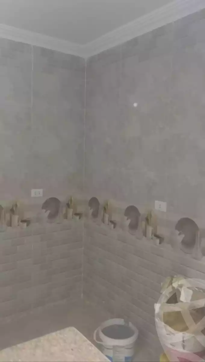 https://aqarmap.com.eg/en/listing/5697628-for-rent-cairo-faisal-hassan-mohamed-st