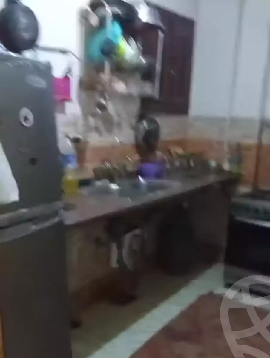 https://aqarmap.com.eg/en/listing/5699287-for-rent-alexandria-l-jmy-lbytsh-el-bostan-st
