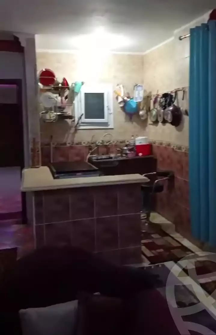 https://aqarmap.com.eg/en/listing/5702153-for-sale-alexandria-l-jmy-lbytsh-el-hanafeya-st