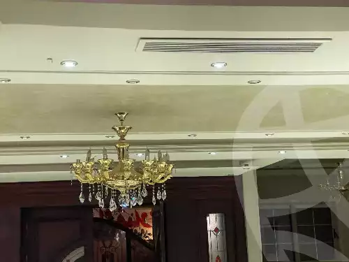 https://aqarmap.com.eg/en/listing/5702297-for-rent-cairo-new-cairo-sharq-el-akadamiya-mohammad-othman-st