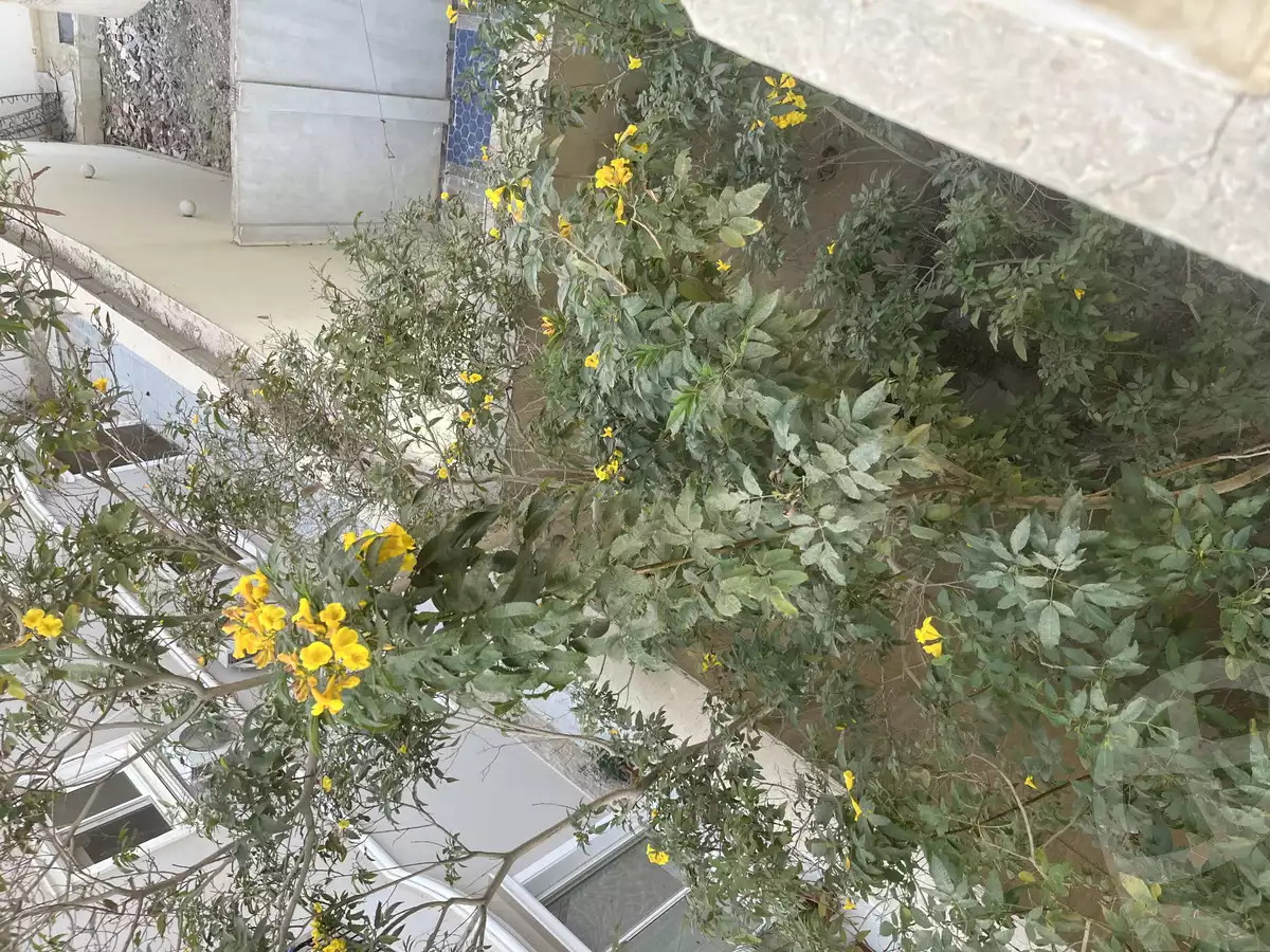 https://aqarmap.com.eg/en/listing/6047753-for-rent-cairo-new-cairo-el-narges-el-narges-3-soliman-azabi-st