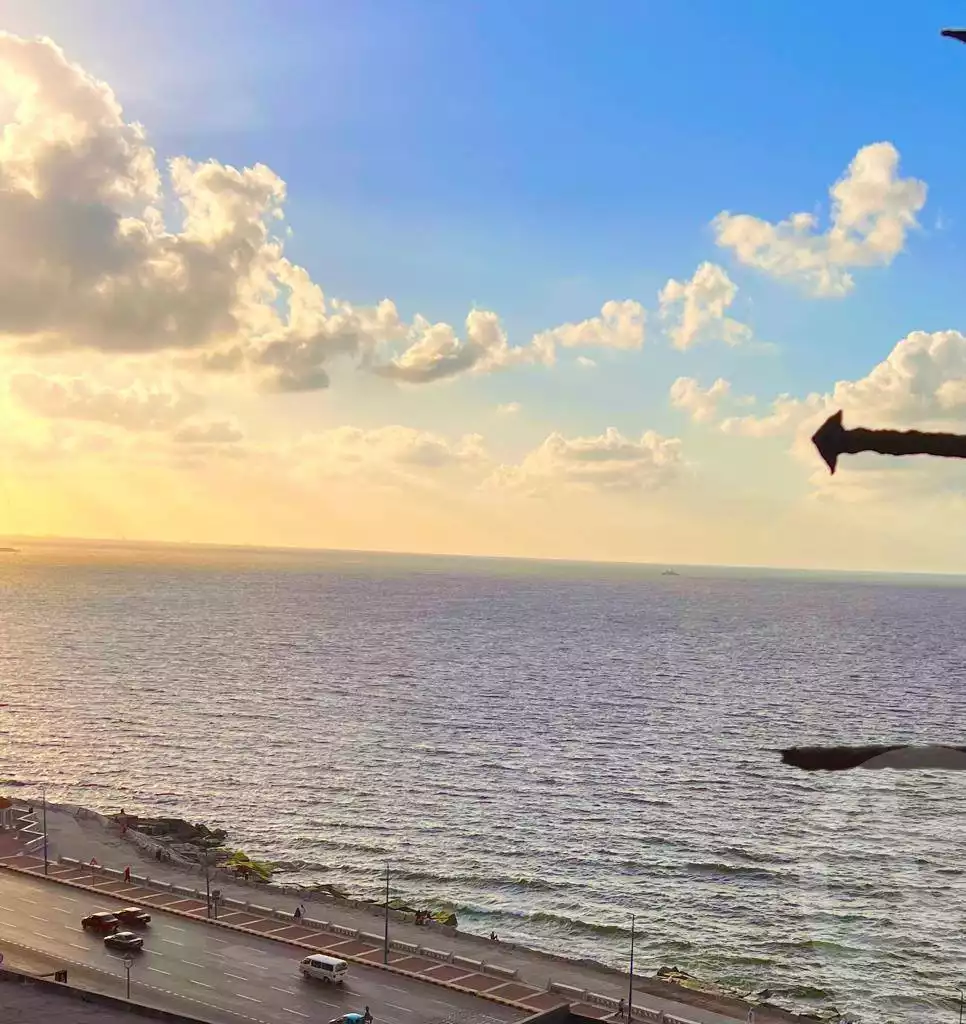 https://aqarmap.com.eg/ar/listing/5711498-for-sale-alexandria-camp-cesar-el-gaish-rd