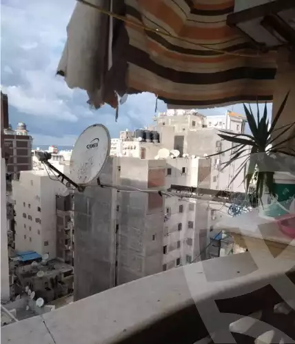 https://aqarmap.com.eg/ar/listing/5712927-for-sale-alexandria-miami-ibn-shker-st
