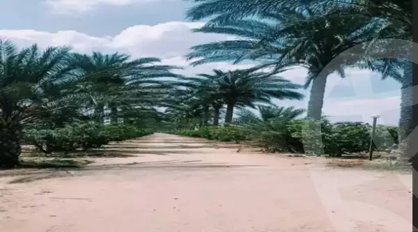 https://aqarmap.com.eg/en/listing/5713233-for-sale-cairo-el-mansuriyyah