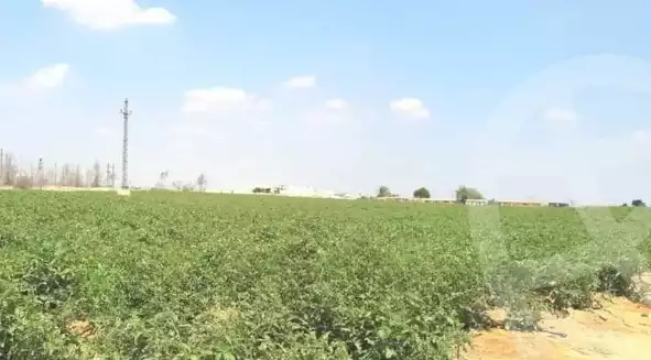 https://aqarmap.com.eg/en/listing/5713233-for-sale-cairo-el-mansuriyyah