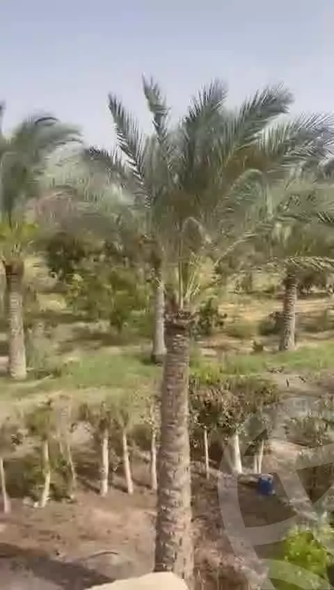 https://aqarmap.com.eg/ar/listing/5716527-for-sale-cairo-el-sheikh-zayed-city-alex-cairo-desert-road-mntq-fr-y-btryq-skndryh-lshrwy