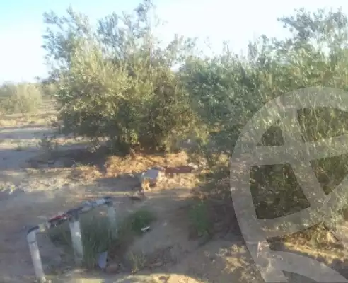 https://aqarmap.com.eg/ar/listing/5720410-for-sale-suez-el-ganain-shandoura-village