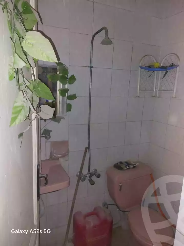 https://aqarmap.com.eg/en/listing/5724974-for-sale-alexandria-lsywf