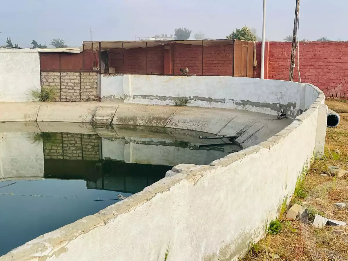 https://aqarmap.com.eg/en/listing/5726367-for-sale-ismailia-tall-el-kebir