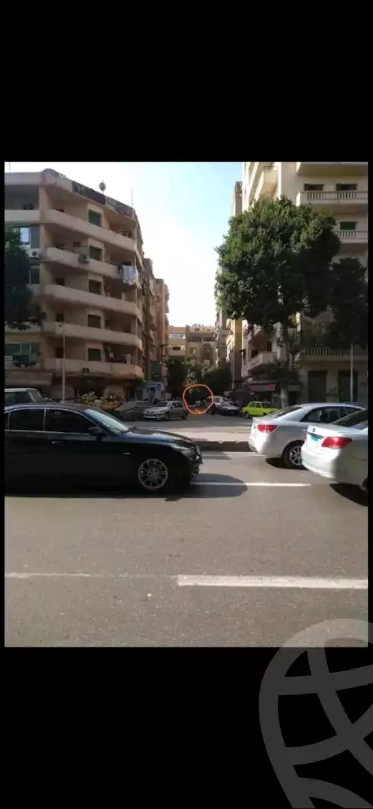 https://aqarmap.com.eg/en/listing/5727118-for-rent-cairo-dokki
