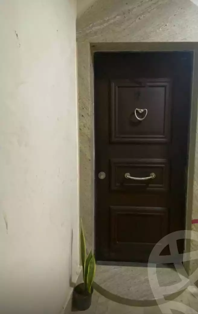 https://aqarmap.com.eg/en/listing/5735407-for-rent-cairo-dokki