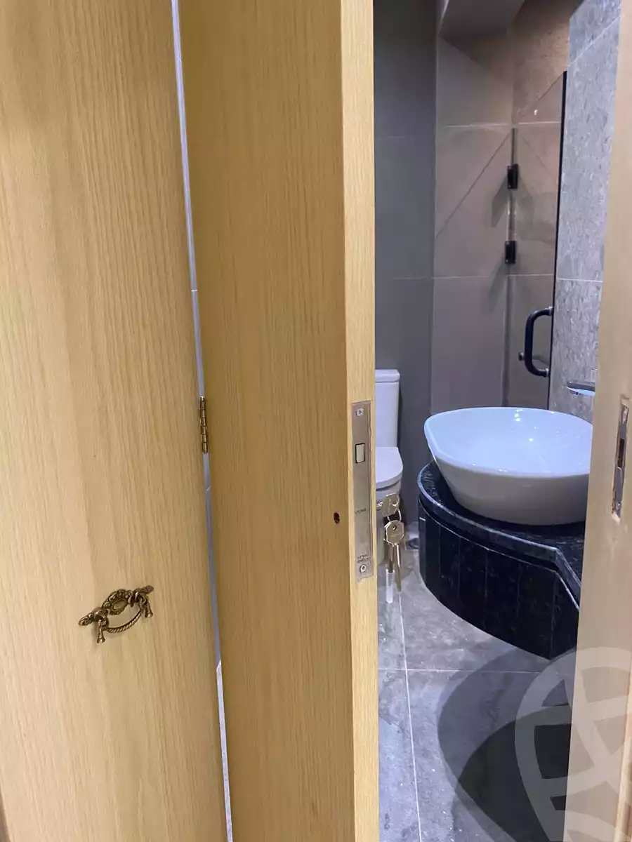 https://aqarmap.com.eg/en/listing/5735407-for-rent-cairo-dokki