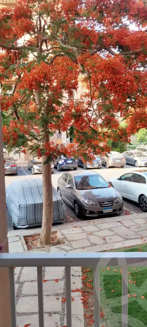 https://aqarmap.com.eg/en/listing/5737275-for-rent-cairo-new-cairo-madinaty-seventh-zone-buildings-mdynty-by-7