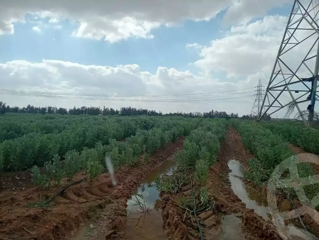 https://aqarmap.com.eg/ar/listing/5739046-for-sale-alexandria-cairo-alexandria-desert-road