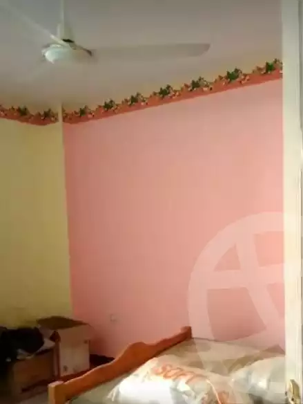 https://aqarmap.com.eg/en/listing/5739645-for-sale-cairo-ain-shams-ain-shams-el-sharkia-abd-el-hameed-hamdy-st