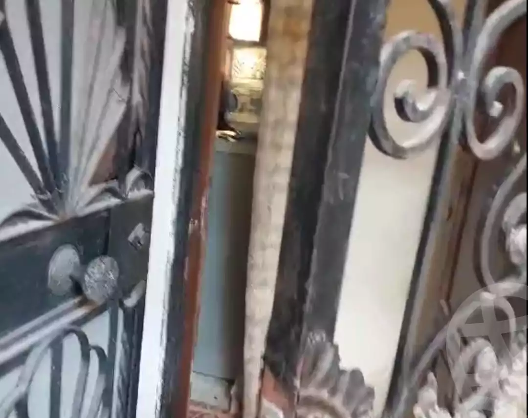 https://aqarmap.com.eg/en/listing/5739716-for-sale-alexandria-l-jmy-lbytsh-ain-shams-st