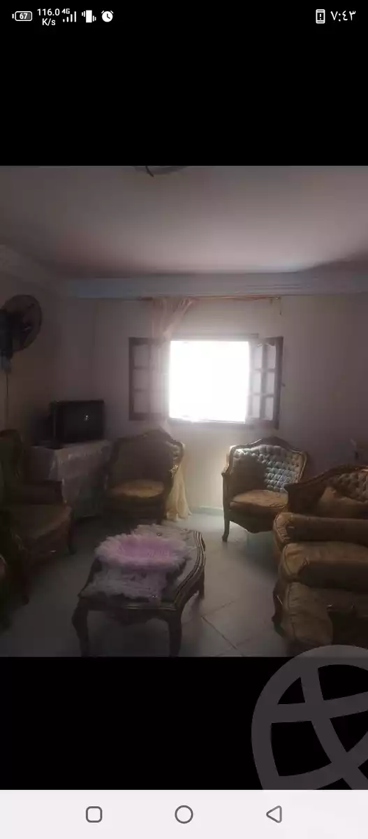 https://aqarmap.com.eg/en/listing/5744475-for-rent-alexandria-miami-khld-bn-lwlyd