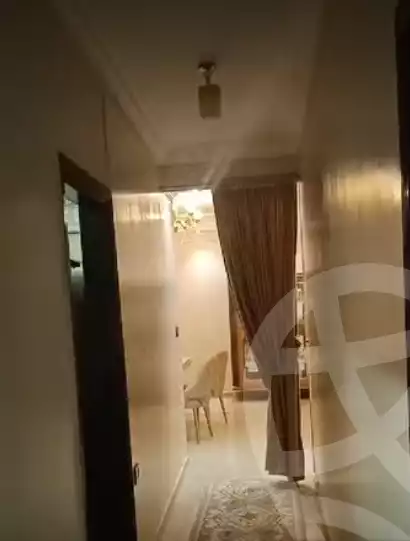https://aqarmap.com.eg/en/listing/5744920-for-sale-cairo-ain-shams-yn-shms-lgrby-shr-qsr-fhmy