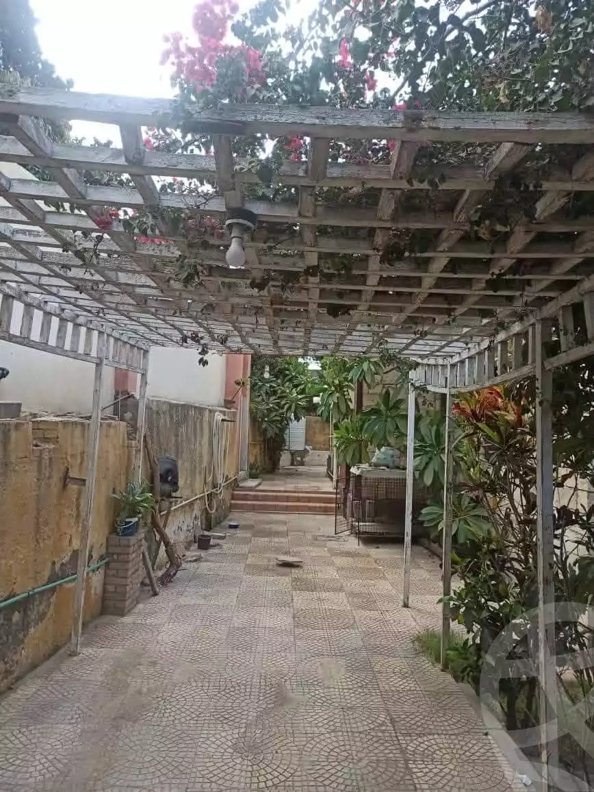 https://aqarmap.com.eg/en/listing/5745559-for-sale-alexandria-l-jmy-lbytsh-el-batal-ahmed-abd-el-aziz-belbis-st