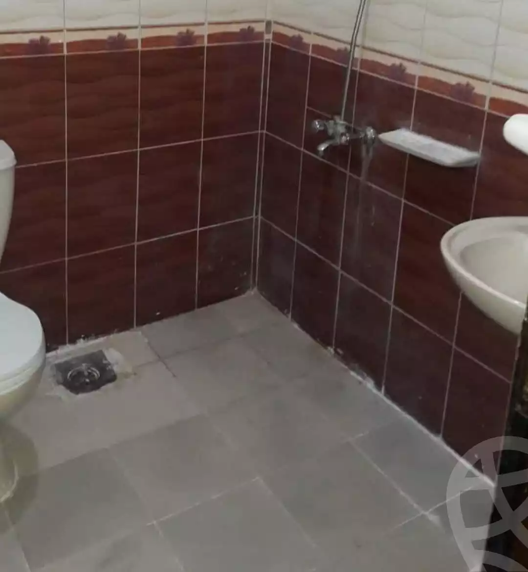https://aqarmap.com.eg/en/listing/5747887-for-rent-alexandria-l-jmy-lbytsh-al-samalehy-2-st