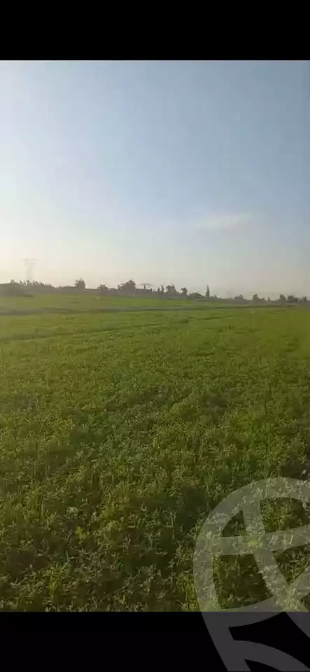 https://aqarmap.com.eg/en/listing/5749072-for-sale-alexandria-cairo-alexandria-desert-road