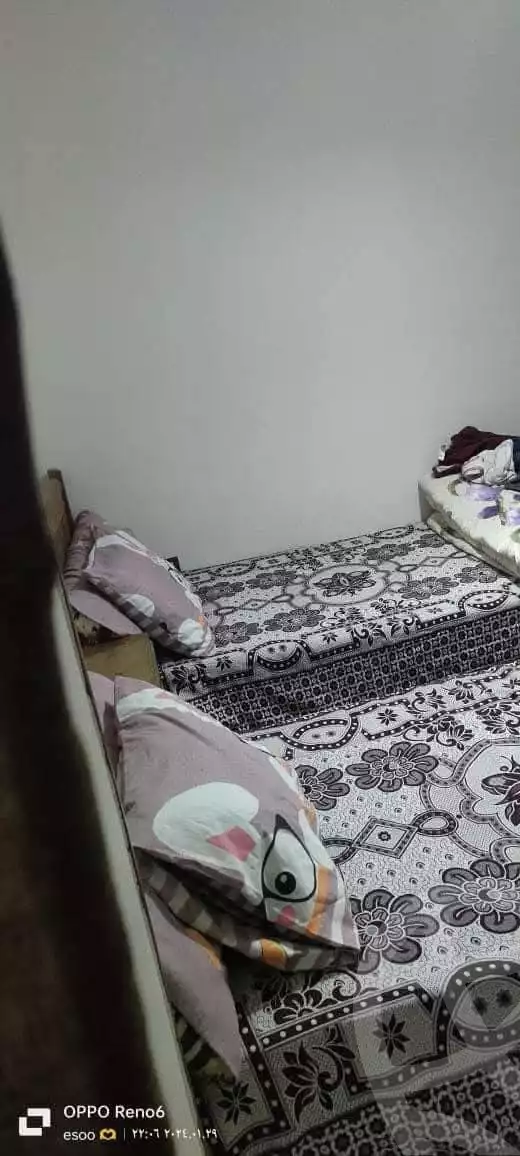https://aqarmap.com.eg/en/listing/5749697-for-rent-alexandria-l-jmy-lbytsh-shahr-al-assal-st