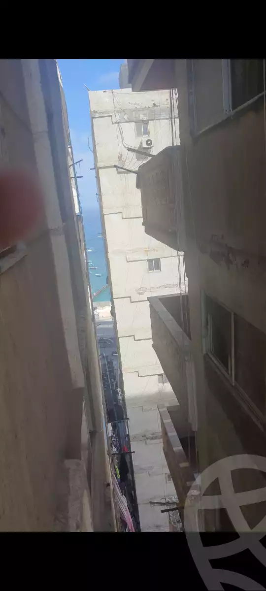 https://aqarmap.com.eg/en/listing/5759864-for-rent-alexandria-miami-al-mostaged-st