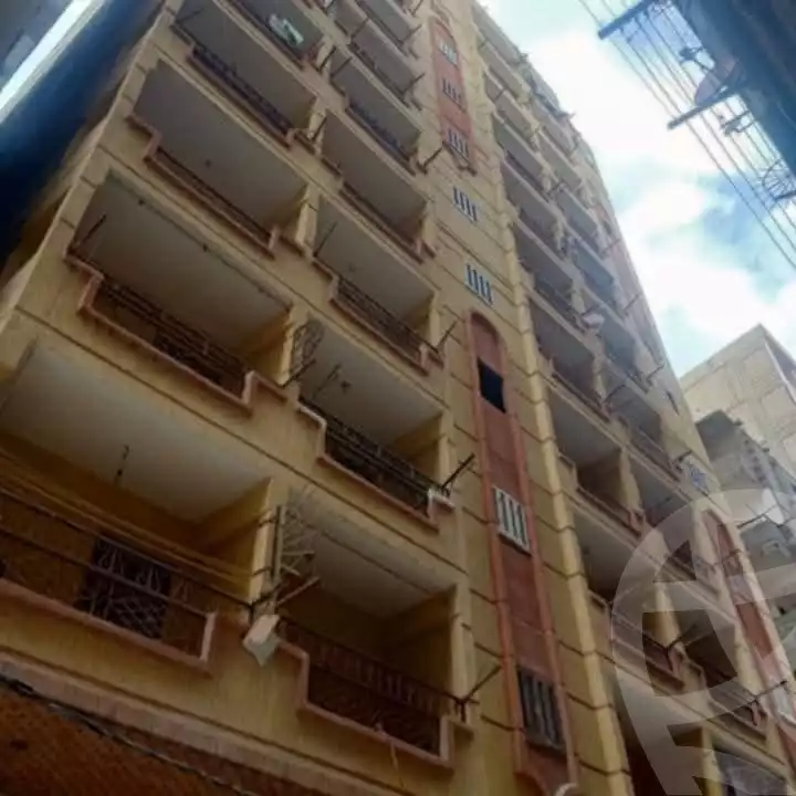 https://aqarmap.com.eg/ar/listing/5763381-for-sale-alexandria-l-jmy-el-hanouvel-el-madina-el-monawwara-st