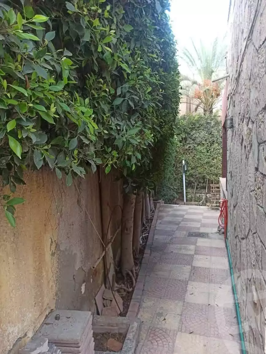https://aqarmap.com.eg/en/listing/5765202-for-sale-alexandria-l-jmy-lbytsh-el-batal-ahmed-abd-el-aziz-belbis-st