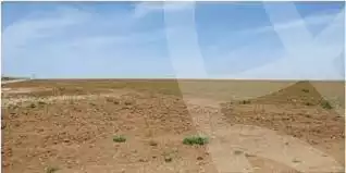 https://aqarmap.com.eg/en/listing/5765455-for-sale-cairo-el-sheikh-zayed-city-alex-cairo-desert-road
