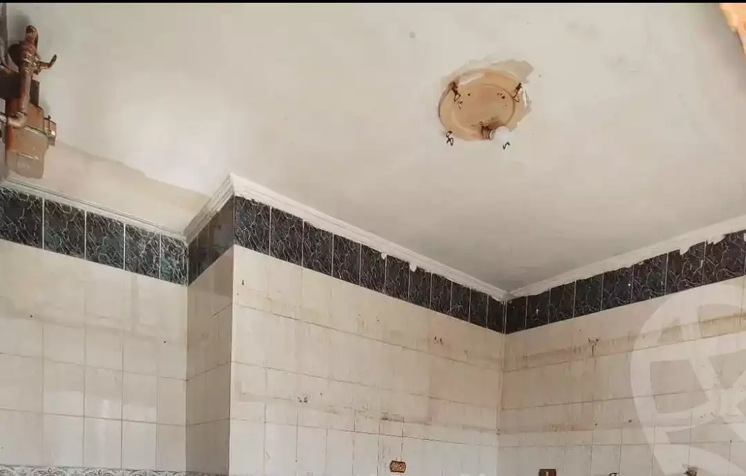 https://aqarmap.com.eg/en/listing/5766684-for-sale-alexandria-l-jmy-lbytsh