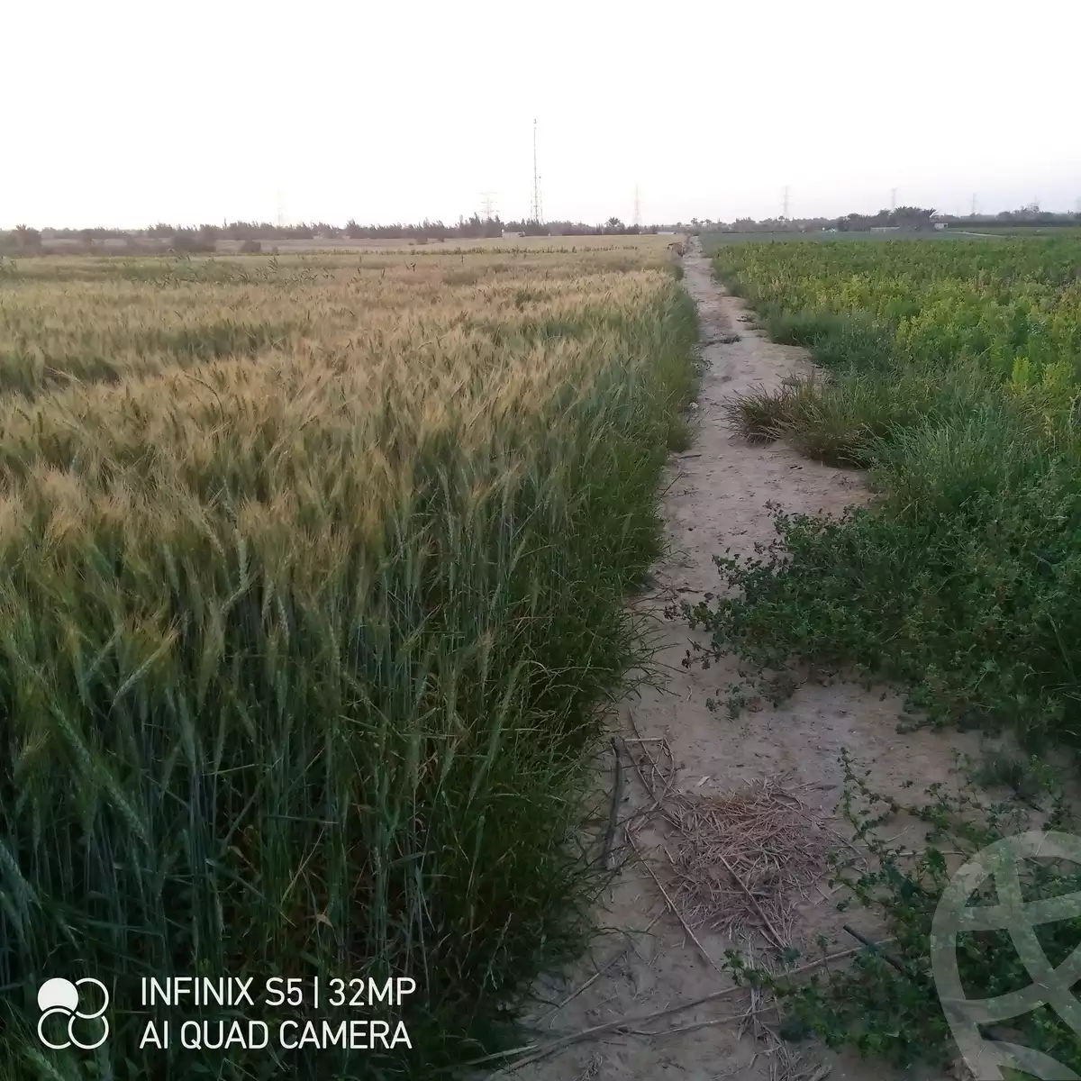 https://aqarmap.com.eg/ar/listing/5768469-for-sale-beheira-wadi-el-natrun