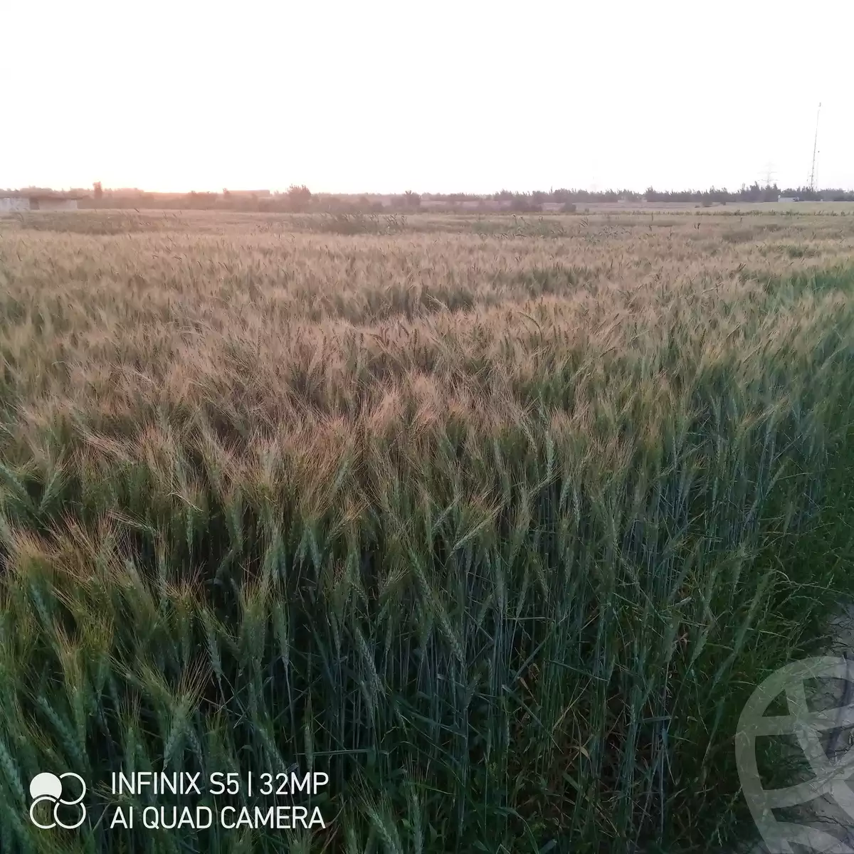 https://aqarmap.com.eg/ar/listing/5768469-for-sale-beheira-wadi-el-natrun