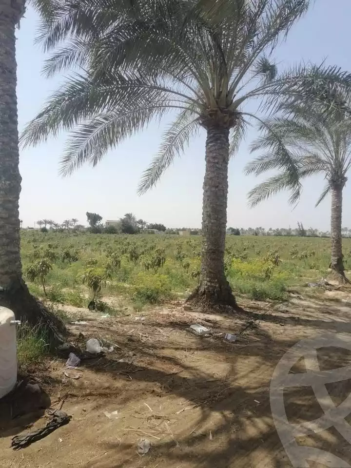 https://aqarmap.com.eg/en/listing/5768482-for-sale-alexandria-cairo-alexandria-desert-road