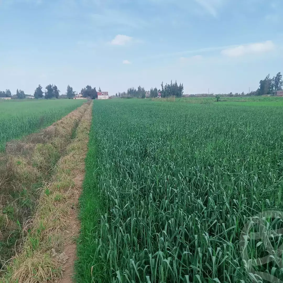 https://aqarmap.com.eg/en/listing/5768948-for-sale-alexandria-el-amreya