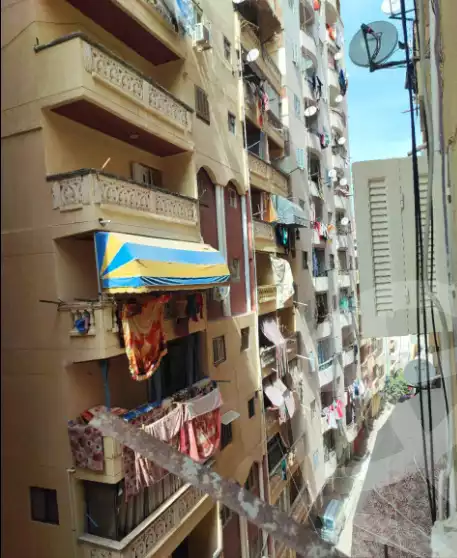 https://aqarmap.com.eg/en/listing/5771701-for-sale-alexandria-l-jmy-bw-ywsf